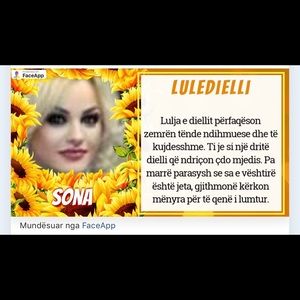 Meet your Posher, Sonila